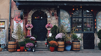 Flowers, Miscellanea, Miscellaneous, Registration, Typography, Door HD wallpaper
