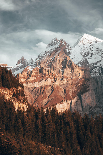 Nature, Trees, Snow, Mountain, Vertex, Top HD phone wallpaper