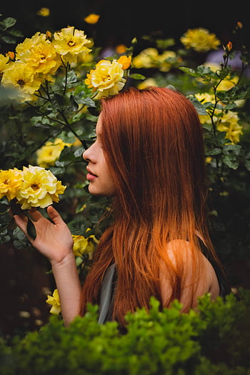 A woman with red hair enjoying the scent of blooming yellow roses in a garden. HD phone wallpaper