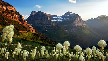 Glacier National Park, Montana, blossoms, peaks, clouds, landscape, sky, mountains, spring, usa HD wallpaper
