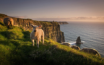 Moving to Ireland, Immigration information, Job prospects, Relocation guide HD wallpaper