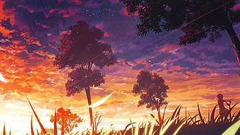  HD wallpaper