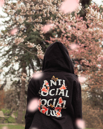 Sakura, Words, Silhouette, Inscription, Hoodie, Hoodies, Cherry Blossom, Print HD phone wallpaper