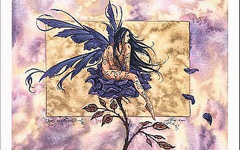 wondering fairey, rose, color HD wallpaper