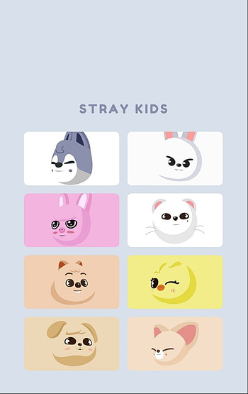 Skzoo Stray Kids, skz, skzoo HD phone wallpaper