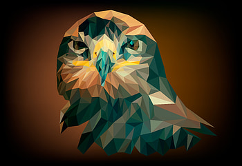 Art, Vector, Bird, Eagle, Geometric HD wallpaper