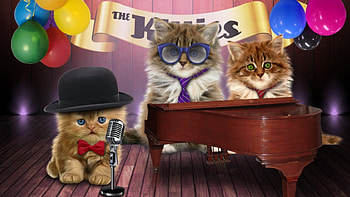 The Kitties, kitten, situation, cute, cat, band, pisica, instrument, creative, music, fantasy, piano, glasses, funny, micro, hat HD wallpaper