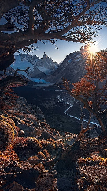 Latest, graphy Aesthetic HD phone wallpaper