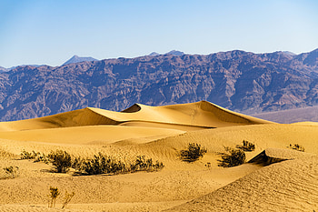 Nature, Mountains, Sand, Desert, Bush, Dunes, Links HD wallpaper