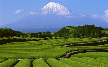Landscape, Mountains, Asia HD wallpaper