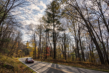 Nature, Autumn, Cars, Road, Car HD wallpaper