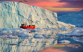 Greenland, glaciers, seagull, fishing schooner, sunset, red boat, beautiful nature, expedition HD wallpaper