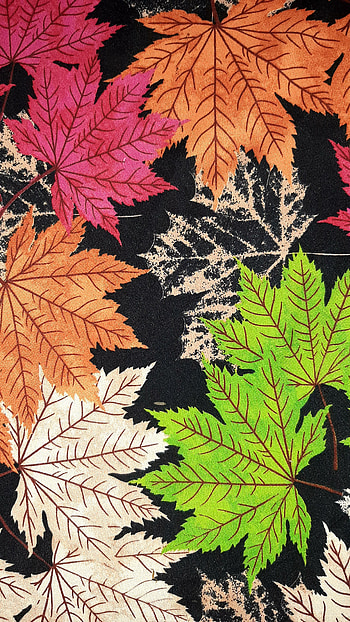 Colourful Maple, , multi_color, android, leaf, colorful HD phone wallpaper