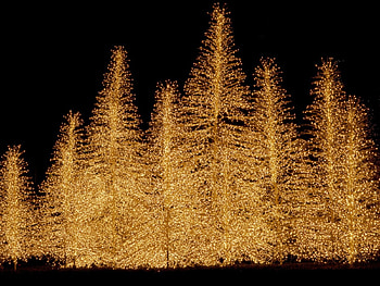 plaza houston texas, abstract, lights HD wallpaper