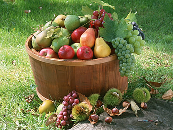basket of fruits, vegetable, basket, grape, fruit, apple, food HD wallpaper