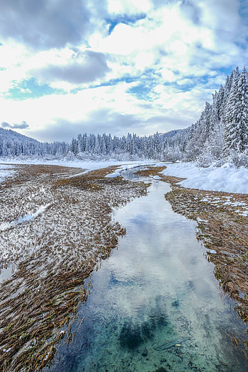 Landscape, Winter, Nature, Trees, Ate, Kranjska Gora, Slovenia, Kranjska Mountain HD phone wallpaper