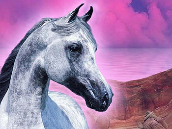 The Pink Sky Horse, horses, sky, nature, arabians HD wallpaper