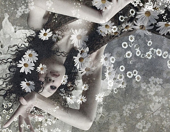 DAISIES, graphy, pretty, bw, flowers, woman, beauty HD wallpaper
