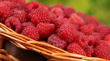 Luscious raspberry, Vibrant and refreshing, Nature's candy, Mouthwatering treat HD wallpaper