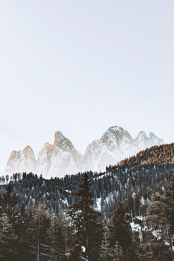 Landscape, Nature, Mountains, Snow, Forest HD phone wallpaper