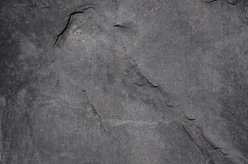 Close-up of a textured gray stone surface, highlighting natural patterns and details. HD wallpaper