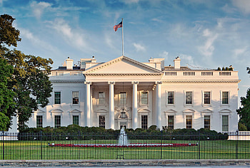 White House, Travels, Roach mice, Infestations HD wallpaper