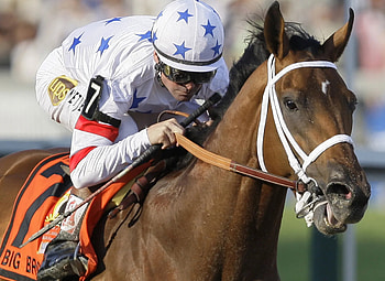 Big Brown, Kentucky Derby HD wallpaper