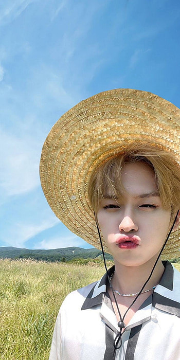 lino, miau, skz HD phone wallpaper