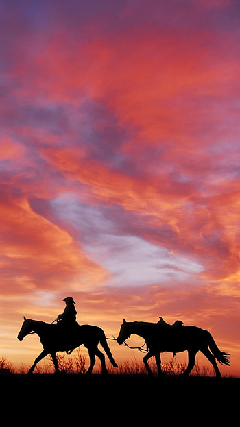 dom, sky, cloud, silhouette, horse, graphy, cowboy HD phone wallpaper