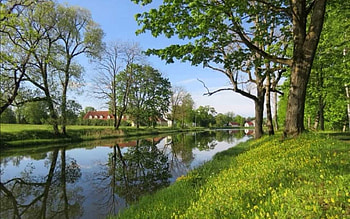 Spring River in Latvia, trees, Latvia, river, spring HD wallpaper