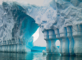 Work Of Nature, cool, amazing HD wallpaper