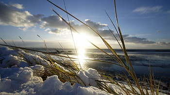Nature, Sun, Snow, Shine, Light, Spring, Blade Of Grass, Blade HD wallpaper