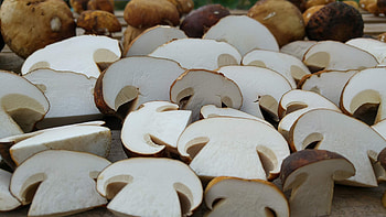 Sun-dried wild porcini, Greek forests, Desertcart, Culinary gem HD wallpaper