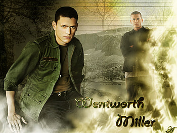 Wentworth Miller, hot, actors, prison break HD wallpaper