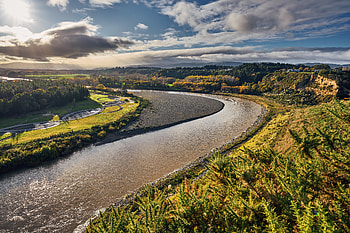 Nature, Rivers, Bush, Forest, Sinuous, Winding HD wallpaper