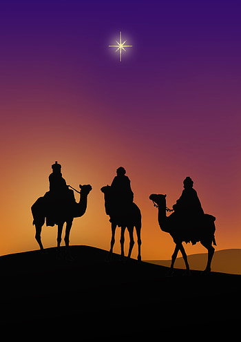 Epiphany, camel, silhouette, minimal HD phone wallpaper