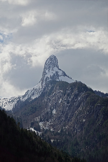 Nature, Trees, Mountains, Snow, Rocks, Snow Covered, Snowbound, Slope HD phone wallpaper