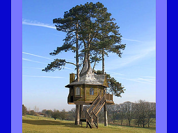 Tree House, cool HD wallpaper