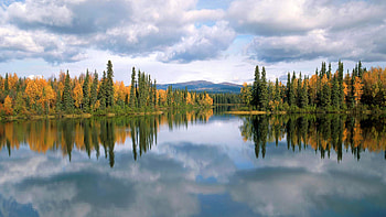 Reflection, river, earth, landscape, nature, ice HD wallpaper