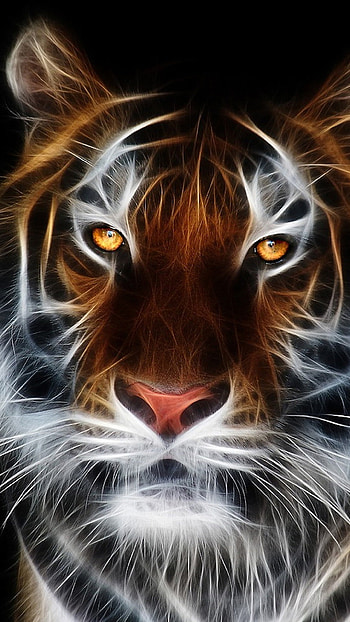 Cool Animal HD phone wallpaper