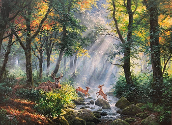 playing in the sun, deers, woods, sun, animals HD wallpaper