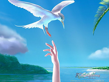 White Bird , 3d, art HD wallpaper