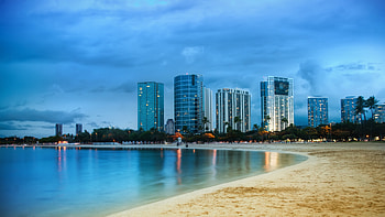 Miami Beach Skyline, Ocean shore, Palm trees HD wallpaper