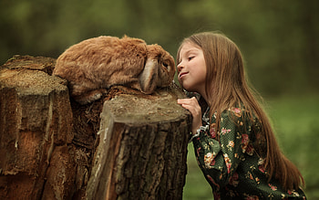 Rabbit and Girl, cute, animal, girl, stump HD wallpaper
