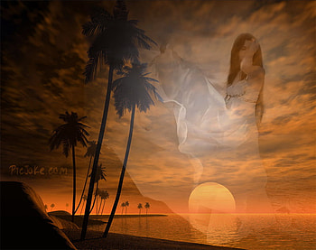 ROMANTIC, passion, love, sunset HD wallpaper
