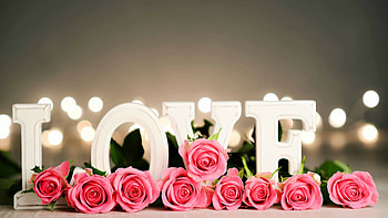 Love, Roses HD wallpaper