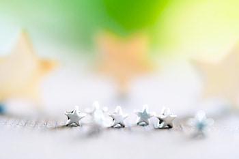 macro HD wallpaper