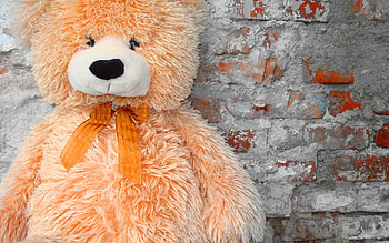 Miscellanea, Miscellaneous, Bear, Plush, Toy, Beautiful HD wallpaper