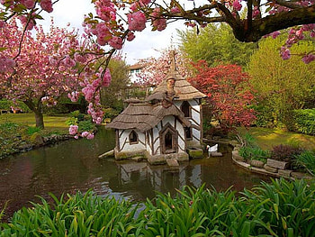 Duck House, in park, cool HD wallpaper