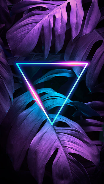 Pink And Blue Neon , Cool Neon HD phone wallpaper